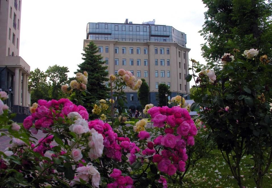 Аrcadia Nataly'S Pearls Appartments Odessa Eksteriør bilde